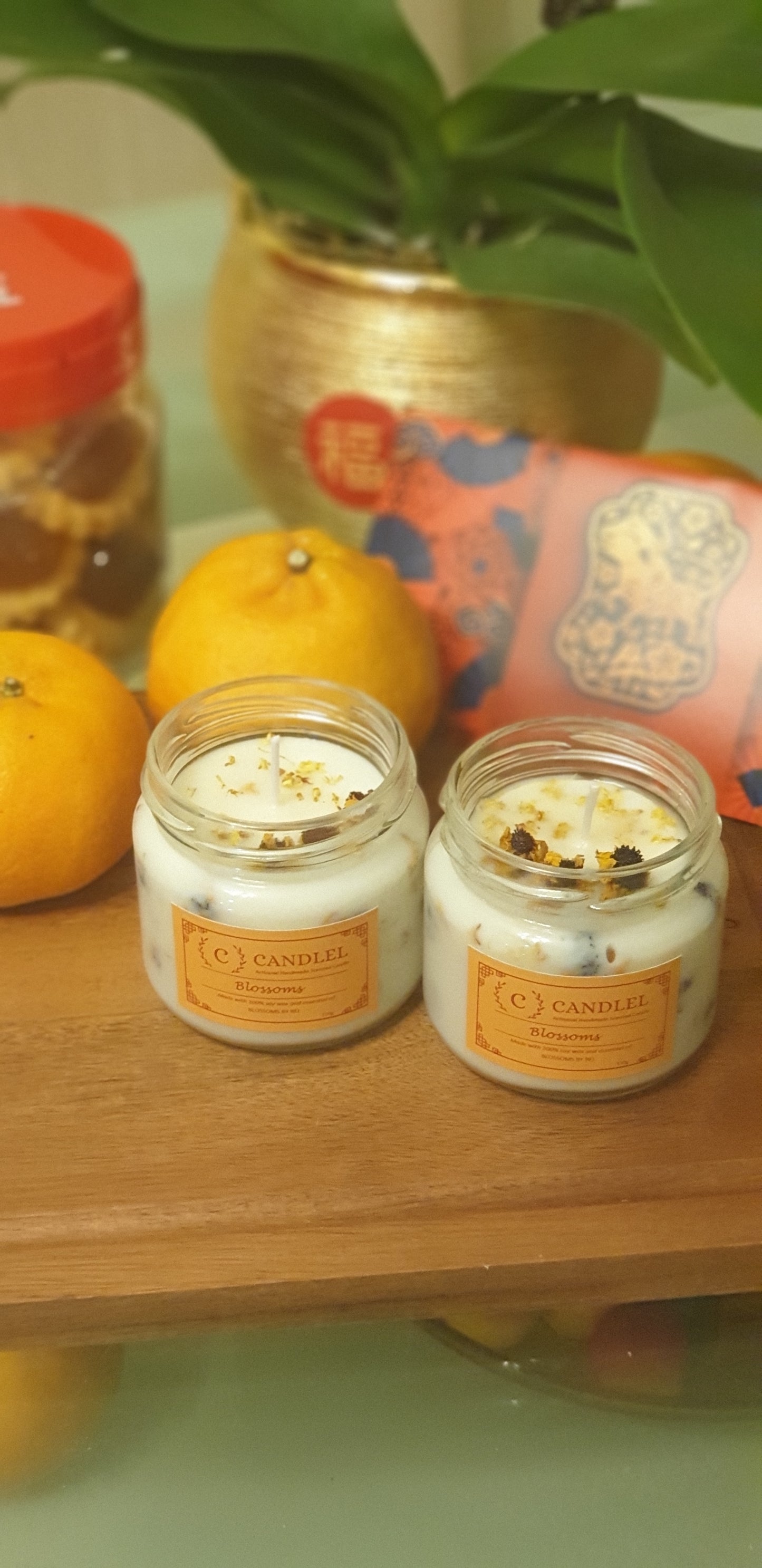 Candlel: Artisanal Soy Candles (5 oz)