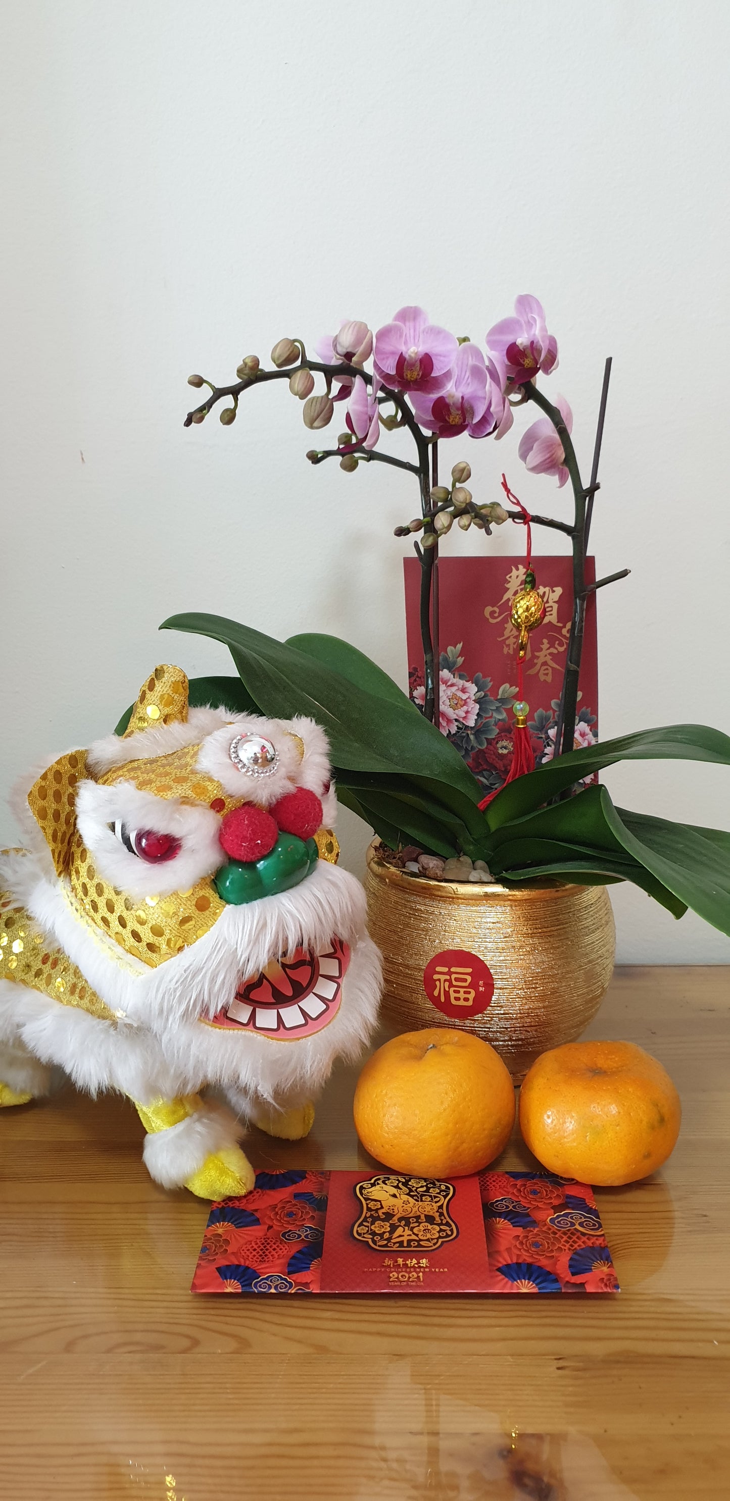 Twin Phalaenopsis Greetings