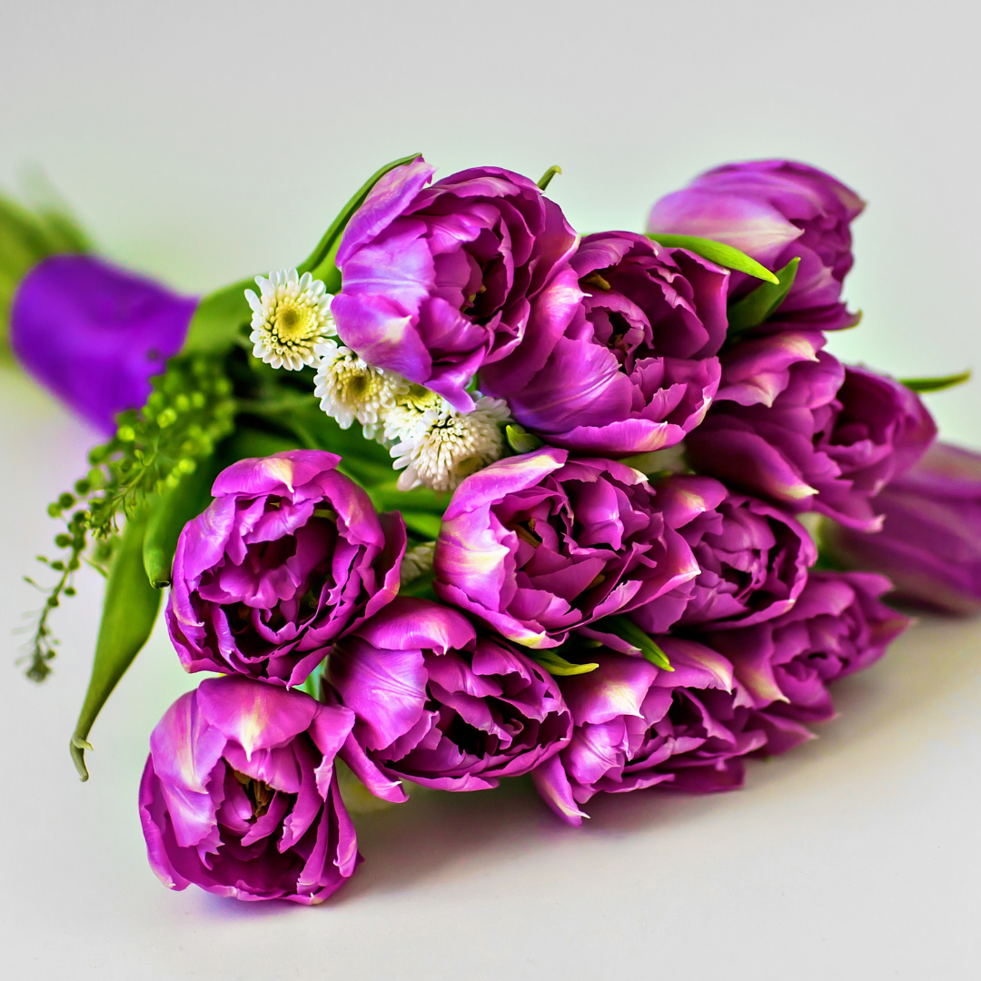 Violette