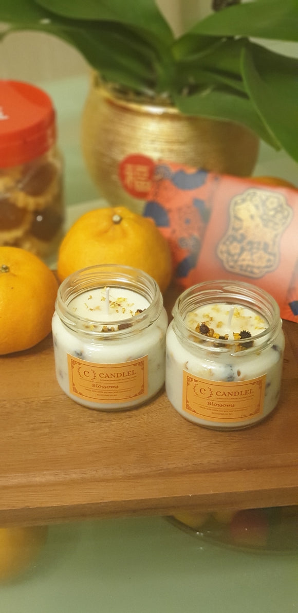 Candlel: Artisanal Soy Candles (5 oz)